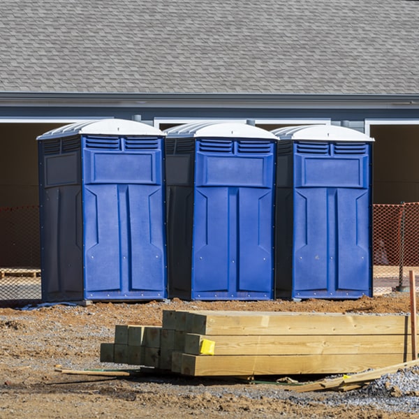 how often are the porta potties cleaned and serviced during a rental period in Rector